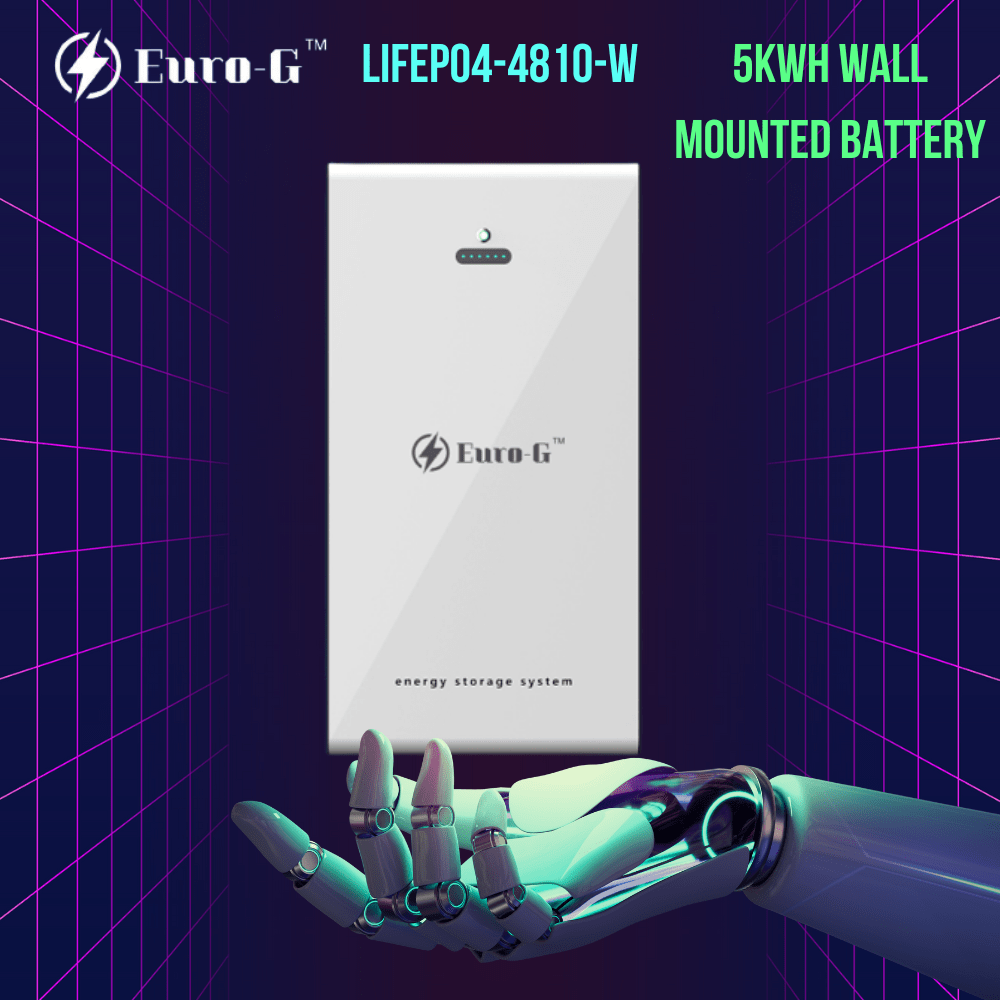 Euro-G LiFePO4-4810-W